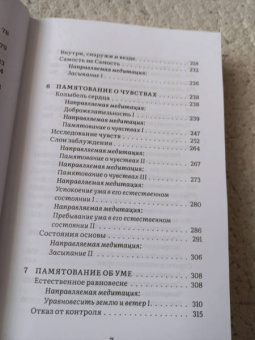 Ален Уоллес: Внимаем пристально. Четыре применения памятования