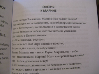 Мария Райнер: Элегии и другие стихотворения