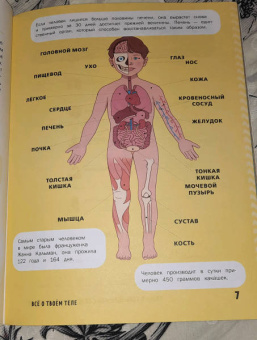 Кэти Стоукс: Книга о теле человека с полезными заданиями и упражнениями