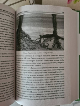 Николай Непомнящий: 100 великих тайн из жизни растений