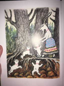 Русские сказки. Рисунки Ю.Васнецова