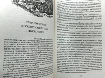 Лебедева, Дроздов, Криволуцкий: Биологическое разнообразие. Учебное пособие