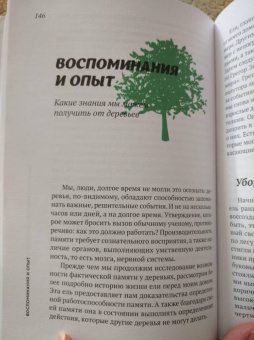 Эрвин Тома: Стратегии природы. Как мудрость леса изменит нашу жизнь?