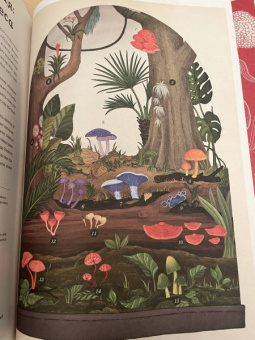 Гайя, Прескотт, Ли: Грибы