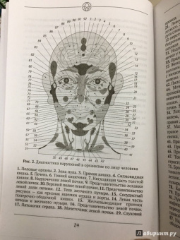 Александр Огулов: Висцеральный Массаж внутренних органов. Основы