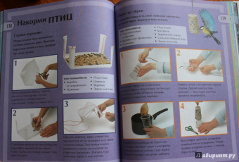 Юный эрудит. Современная энциклопедия окружающего мира