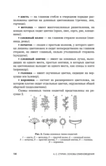 Александр Ступин: Семеноведение. Учебное пособие. СПО
