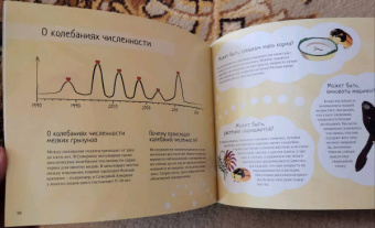 Эйде, Белсвик: Лемминги – сердце гор