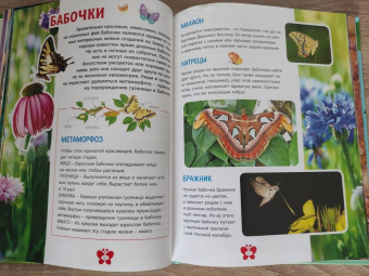 В мире насекомых. Детская энциклопедия
