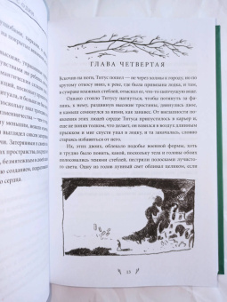 Мервин Пик: Титус один. Книга 3