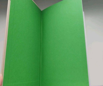 Джоди Пиколт: Простая правда