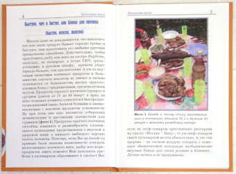 Пышков, Смирнов: Копчение мяса