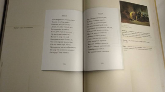 Пушкин, Рожников: Евгений Онегин. Подробный иллюстрированный комментарий