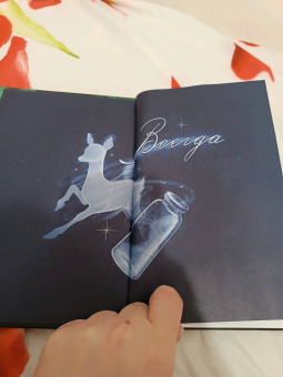 Лори Ким: Северус. Глубочайшее исследование фигуры