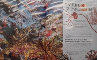 Катажина Баерович: История жизни на Земле