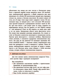 Сыцзя Чжао: Мой мозг