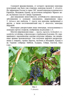 Константин Лактионов: Частное плодоводство. Виноград. Учебное пособие
