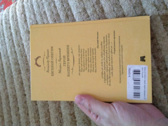 Пушкин, Лермонтов: Евгений Онегин. Герой нашего времени