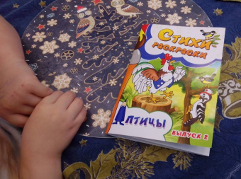 Агеев, Андим, Голубев: Стихи-раскраски. Птицы. Выпуск 2