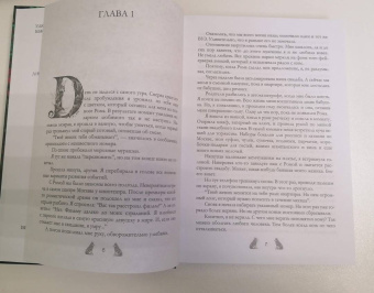 Сильвия Лайм: Академия Арктур. Невеста Волка