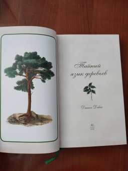 Джилл Дэвис: Тайный язык деревьев