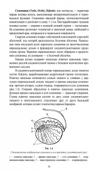 Дюльгер, Дюльгер, Седлецкая: Акушерство, гинекология и биотехника размножения кошек. Учебное пособие для вузов