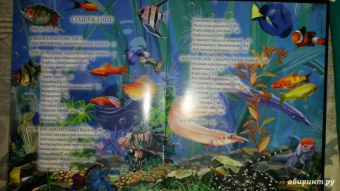 Лада Александрова: Хочу знать. Аквариумные рыбки