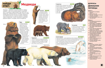 Гиффорд, Варлей, Мейсон: Интерактивная энциклопедия для школьников