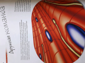 Боэрле, Ланда: Путешествие в мир клетки. Нескучная наука