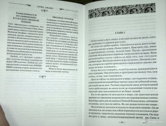 Крис Эванс: Хроники железных эльфов. Книга 2. Свет пылающих теней