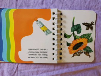 Цвета
