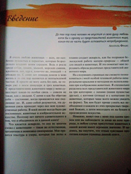Джина Армфельд: Акварельные животные