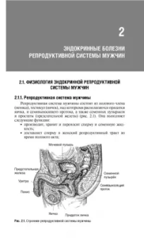 Александр Древаль: Репродуктивная эндокринология. Руководство для врачей