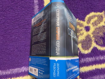 Долорес Редондо: Северная сторона сердца