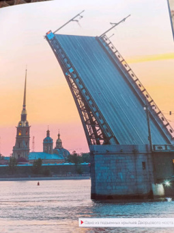 Агнесса Невская: С моста виднее. 50 мостов Петербурга, которые расскажут свою версию истории города