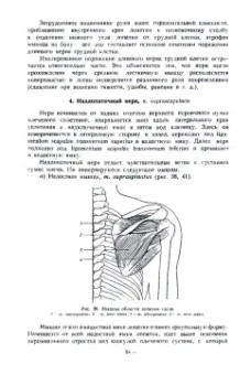 С. Полонский: Диагностика поражений спинномозговых нервов