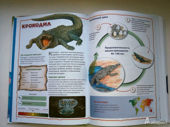 Энциклопедия животных для маленьких почемучек