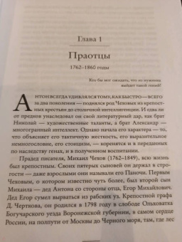 Дональд Рейфилд: Жизнь Антона Чехова