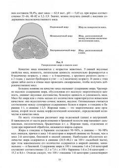 Геннадий Бажов: Основы свиноводства. Учебное пособие. СПО