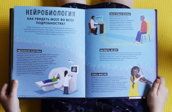 Тим Кеннингтон: Его величество мозг. Все самое интересное о работе мозга людей, животных и роботов