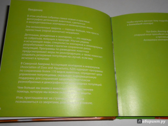 Блэйман, Истланд: Детеныши животных