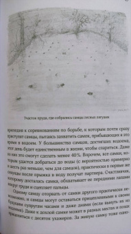 Бернд Хайнрих: Лето. Секреты выживания растений и животных в сезон изобилия