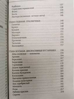 Галина Кизима: Неприхотливый цветник. Правила и советы для начинающих