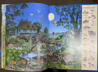Большая книга времен года