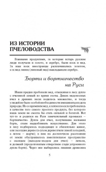 Пчеловодство для всех. Как перестать покупать мед