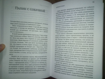 Павел Басинский: Любовное чтиво