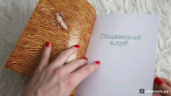 Мэтт Фьюри: Пацанский клуб