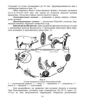 Паразитарные болезни свиней