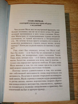 Виталий Зыков: Школа Пепла. Выбор