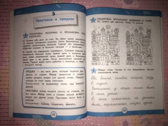 Александра Соболева: 100% грамотность. Нейропсихологический тренажер по чистописанию